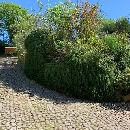 Holiday home Falciraga *